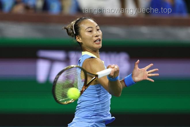 郑钦文2-0横扫帕芙柳琴科娃：网球制胜策略与实战指南