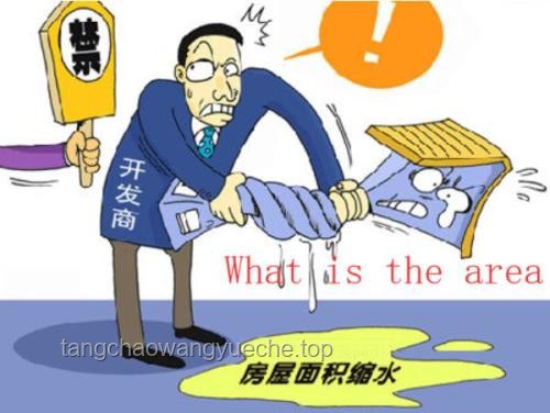 讨厌选择？全面解析“全买了”策略的利弊