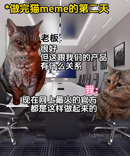 大司马猫Meme：创意跨界，重塑娱乐新生态