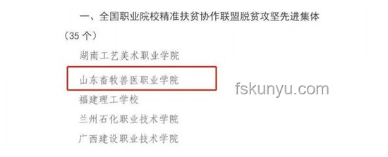 博士头衔与非博士职业发展的对比分析