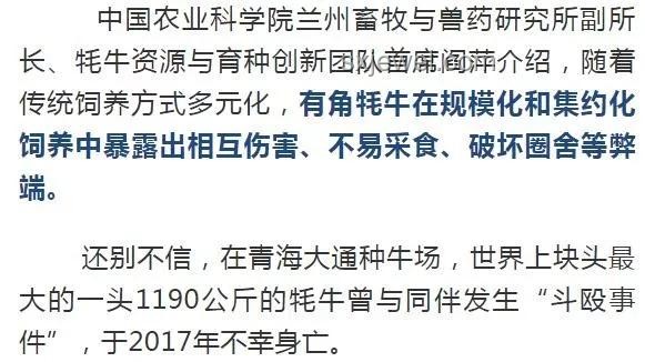 牛弹琴视角下的中美元首通话解析：掌握10个关键细节