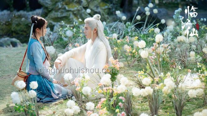 白鹿为临江仙穿婚纱方案策划