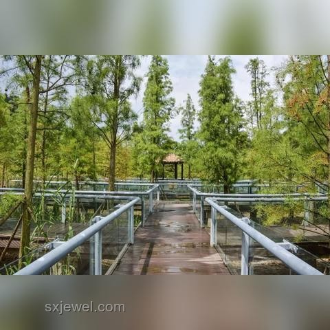 智能家居的理想态与中国品牌的突破之旅🏠✨