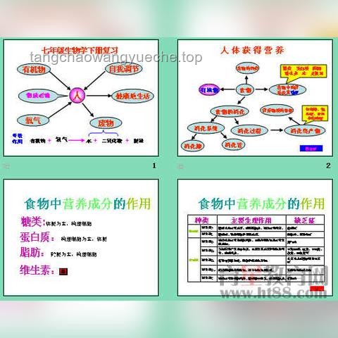 高考生物高效备考策略