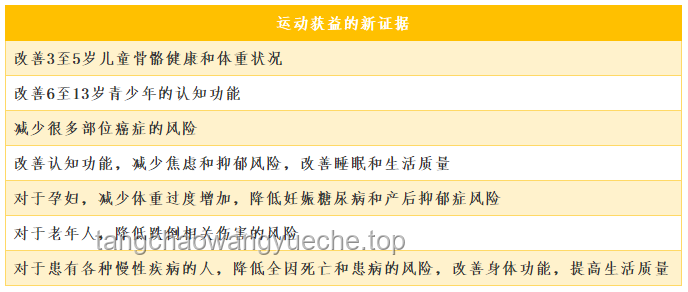 大众对攀岩运动常见误解破解指南