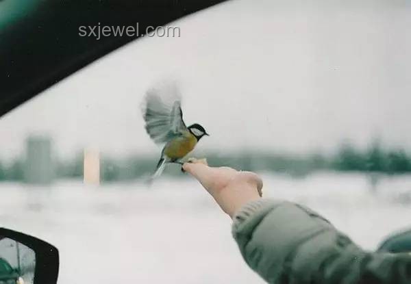 莫言视角：家中整洁反映人生真相，如何平衡内心与外界