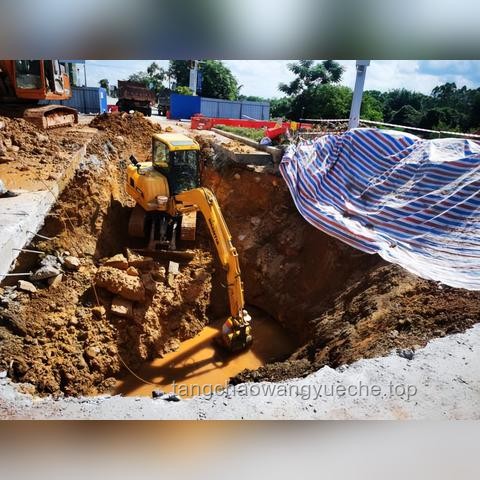 今年第1号台风生成案例研究：预警响应与防灾减灾策略