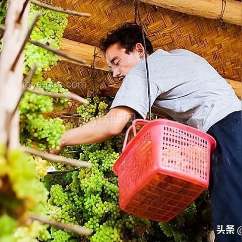 你以为很脏，其实很干净VS你认为干净，实则脏的生活习惯对比